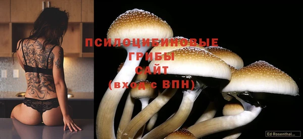 гашиш Алексин