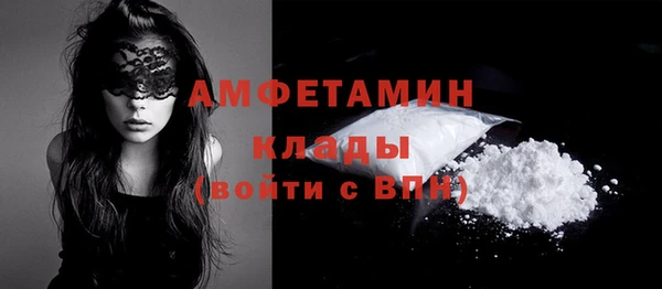 стаф Алзамай