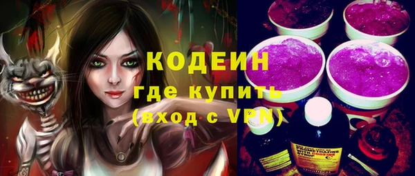 стаф Алзамай