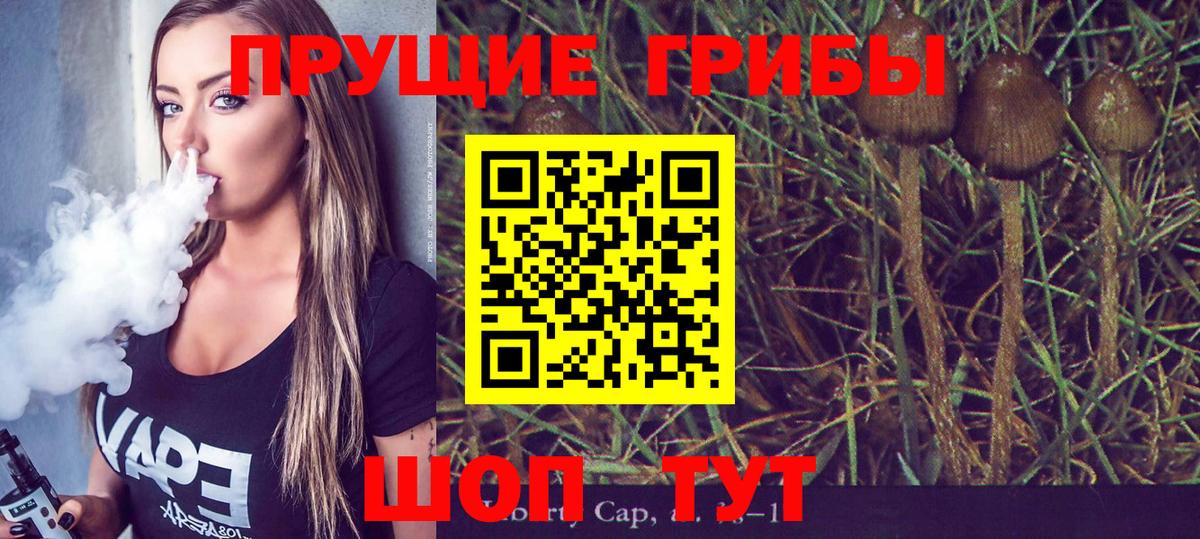 Псилоцибиновые грибы ЛСД Новодвинск
