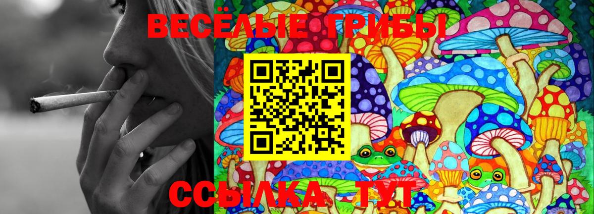 Галлюциногенные грибы MAGIC MUSHROOMS  Вход с VPN  Новодвинск 