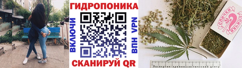 купить наркотик  Новодвинск  мориарти Telegram  Шишки марихуана Bruce Banner 